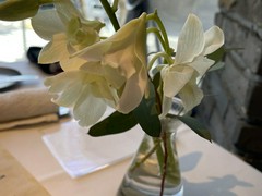 restaurant Artisan（レストラン アルティザン）