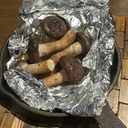 裏の山の木の子 渋谷