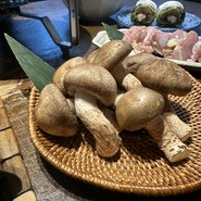 裏の山の木の子 渋谷