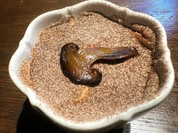 裏の山の木の子 渋谷