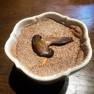 裏の山の木の子 渋谷