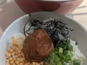 本枯中華そば 魚雷