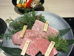 飛騨牛一頭家　馬喰一代　長良本家