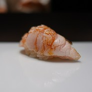 鮨 梢