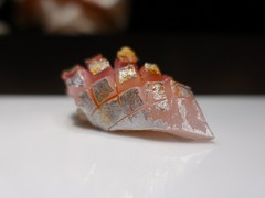 鮨 梢