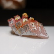 鮨 梢