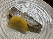 鮨 割烹 門内