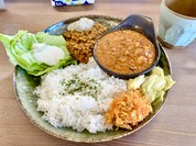 スパイスカレー2種盛り