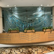 寿司割烹　しきの花