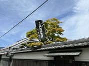 小田垣豆堂