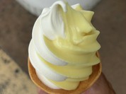 湘南ゴールドはシャーベット状です！