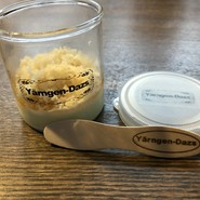 SHOKUDO YArn（ショクドウ ヤーン）