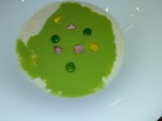 クッチーナ オッティモ