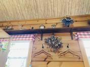 ひよこまめ食堂
