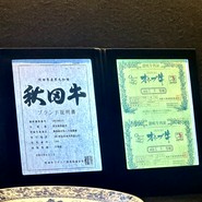 銀座 和牛鉄板焼 USHIGAMI