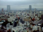 カフェ ラ・トゥール