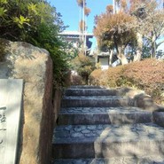 一粒一ヒ