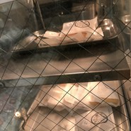 すゞめ 近江町市場店