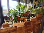 なかむら屋