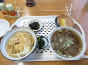 松舞家