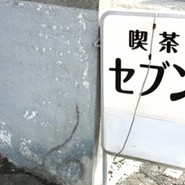 忍食堂