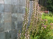 レストランラシェット