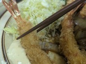 キッチン 南国