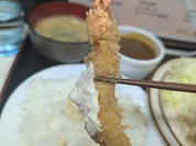 キッチン 南国