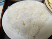 キッチン 南国