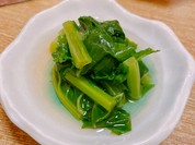吉櫻