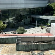 昴