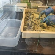茶房こげつ 嵐山店