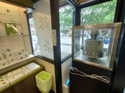 茶房こげつ 嵐山店