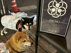 鉄板焼ダイニング 來音屋