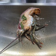 宮崎牛専門店　那覇　みやちく