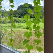 リストランテ シエロ