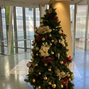 博多もつ鍋おおやま　なんば