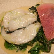 ゲンナー（ナンヨウブダイ）のヴァプール、紅芯大根