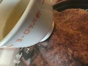 敦賀ヨーロッパ軒 本店