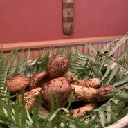 緒方（おがた）