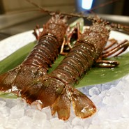 本店山科