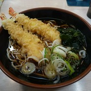 白樺