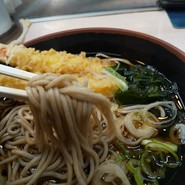 白樺