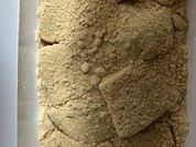 とろり天使のわらびもち 天神橋本店