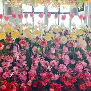 FLOWER＆FRENCH　888～HACHIMITSU～