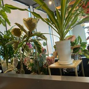 FLOWER＆FRENCH　888～HACHIMITSU～