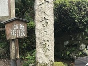 坪川家 千古の家