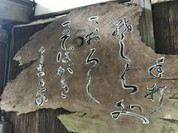 坪川家 千古の家