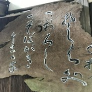 坪川家 千古の家