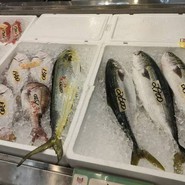 寺泊中央水産 まるなか